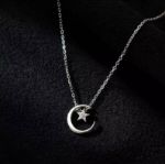 Picture of Crescent Moon and Star White Gold Silver Necklace